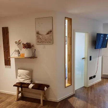 Lachmoewe-by-deju Norderney